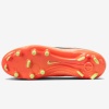 Nike Legend 10 Academy FG/MG Erkek Çim Zemin Kramponu DZ3179-800
