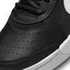 Nike  Court Air Zoom Lite 3 Siyah Erkek Ayakkabısı DV3258-001