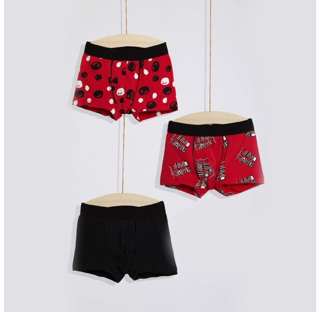 WOGİ 3LÜ BOXER SETİ