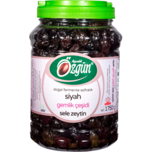 Özgün Siyah Sele Gemlik Zeytin (1750 gr.)