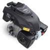 Palmera Benzinli Motor 5,1 Hp Çim Tipi