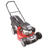 Baco BC-530H55 Çim Biçme Makinesi İtmeli 5.5 Hp 53 Cm