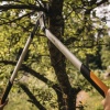 Fiskars 1020188 L LX98 PowerGear X Alüminyum Dal kesme Makası Bypass 80 cm