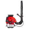 Solax EB995 Benzinli Üfleme Makinası 5 Hp
