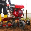 Antrac 200 Honda GX 200 Benzinli Çapa Makinesi 6.5 Hp