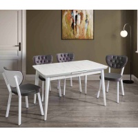 ALWAYSSTAR T687 MASA+C523 SANDALYE TAKIM