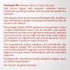 PINEAPPLE MIX | Ananas, Elma, Tarçın Karışımı |