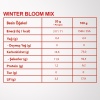 WINTER BLOOM MIX 6LI SET | Mandalina, Kumkuat, Cennet Hurması | Çiçeksi Kış Meyveleri Karışımı | 6 Al 5 Öde Paketi |