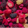 BERRY MIX 6LI SET  | Beyaz Dut, Böğürtlen, Frambuaz, Çilek | Orman Meyveleri Karışımı | 6 Al 5 Öde Paketi |