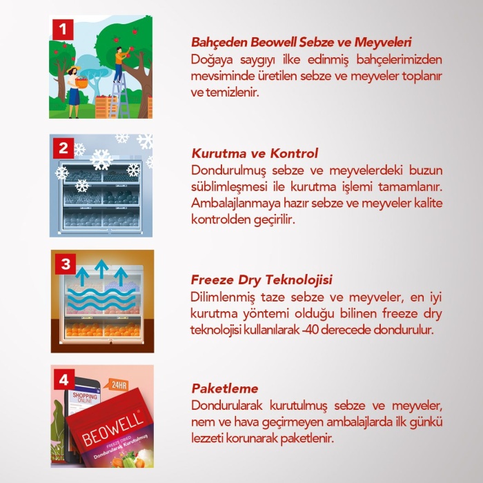 RAINBOW MIX | Kabak, Havuç, Mısır, Kırmızı Toz Biber, Kekik ve Kaya Tuzu Karışımı |