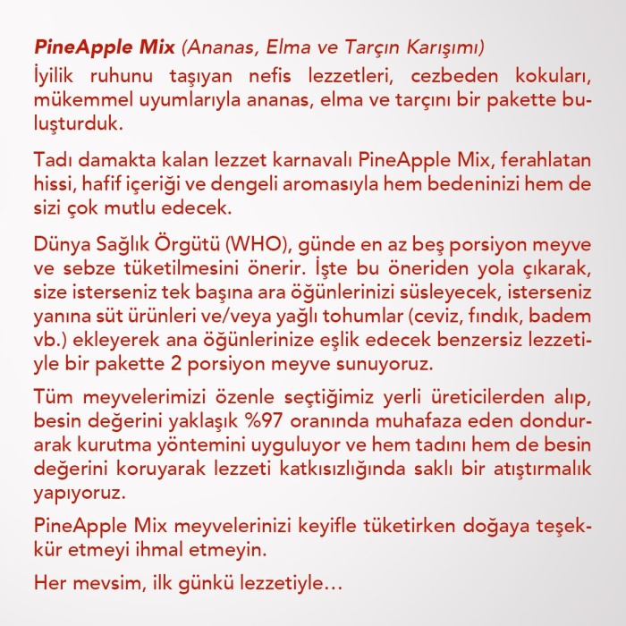 PINEAPPLE MIX | Ananas, Elma, Tarçın Karışımı |