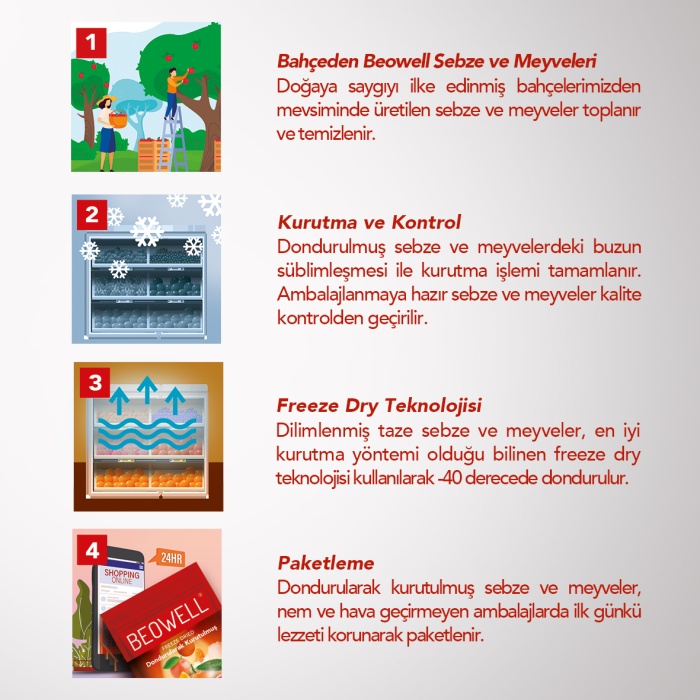 CITRUS MIX 6LI SET | Portakal, Mandalina, Greyfurt | Turunçgil Meyveleri Karışımı | 6 Al 5 Öde Paketi |