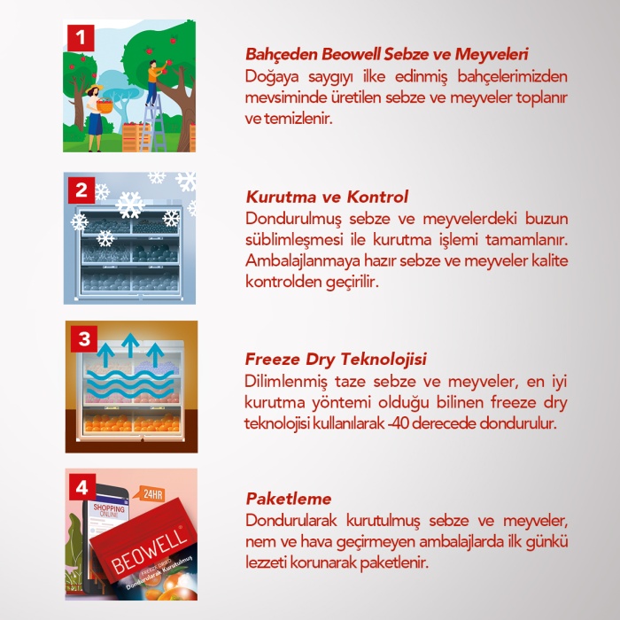 WINTER BLOOM MIX 6LI SET | Mandalina, Kumkuat, Cennet Hurması | Çiçeksi Kış Meyveleri Karışımı | 6 Al 5 Öde Paketi |