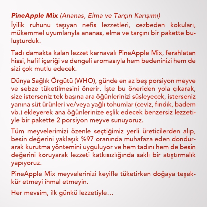 PINEAPPLE MIX 6LI SET  | Ananas, Elma ve Tarçın | Ananas, Elma ve Tarçın Karışımı | 6 Al 5 Öde Paketi |