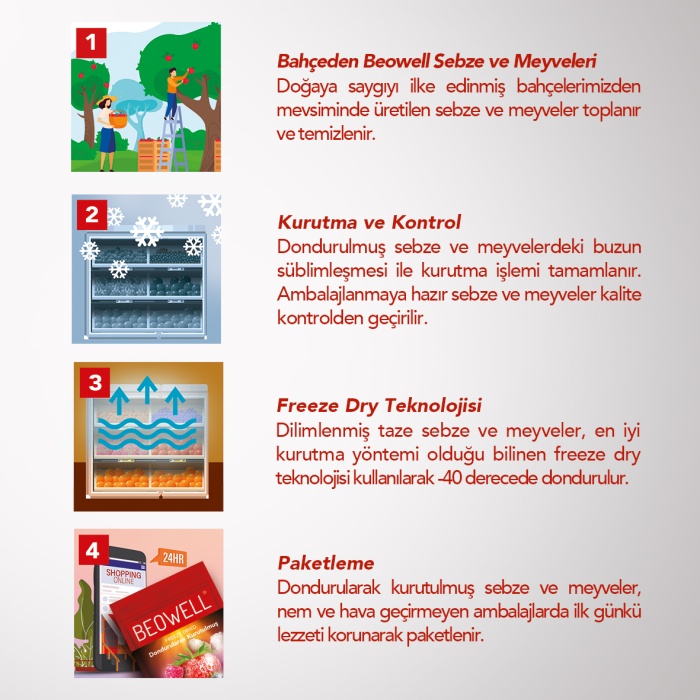 BERRY MIX 6LI SET  | Beyaz Dut, Böğürtlen, Frambuaz, Çilek | Orman Meyveleri Karışımı | 6 Al 5 Öde Paketi |