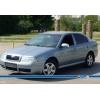 Skoda Octavia A5 Krom Ayna Kapağı 2 Parça 2005-2013 Arası