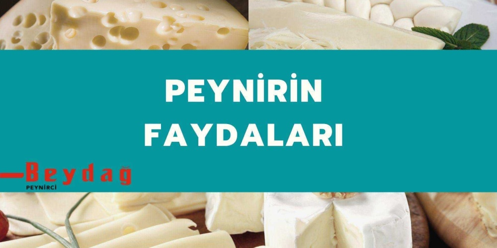 Peynirin Faydaları