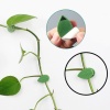 10 lu Yaprak Tasarımlı Kablo Bitki Sarmaşık Düzenleyici Yapışkanlı Klipsler (K0)