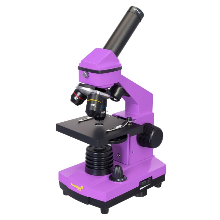 Levenhuk Raınbow 2L PLUS Amethyst/Ametist Mikroskop (K0)