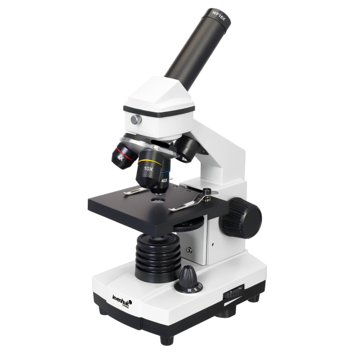 Levenhuk Raınbow 2L PLUS Moonstone/Aytaşı Mikroskop (K0)