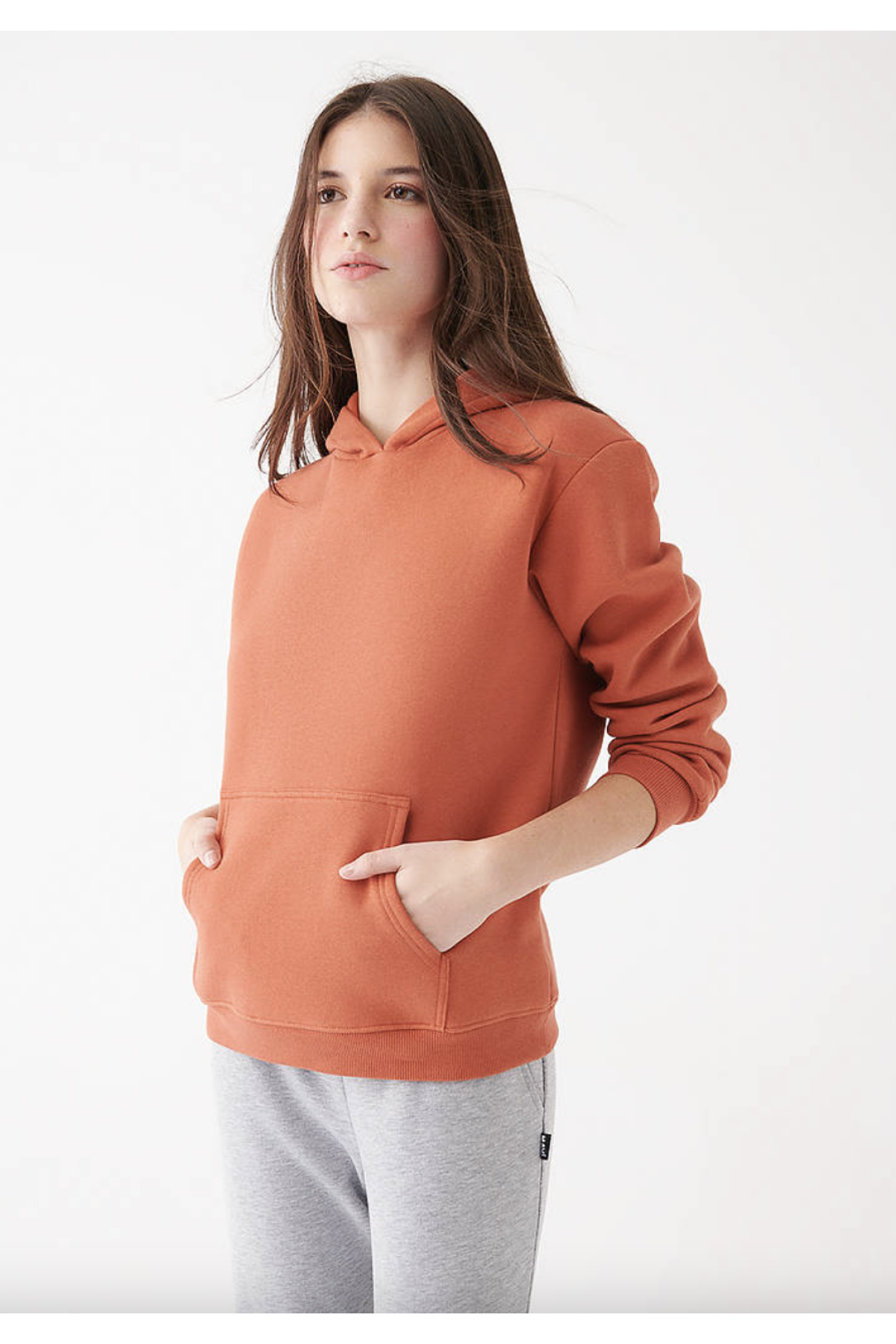 Şardonlu Kapüşonlu Kestane Basic Sweatshirt