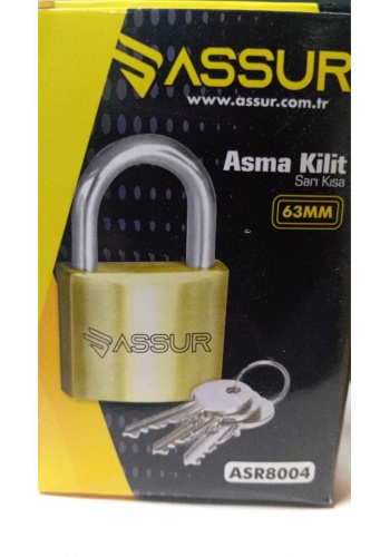 BOLTOPTAN ASSUR 63 mm asma kilit 6*30 180 ADET