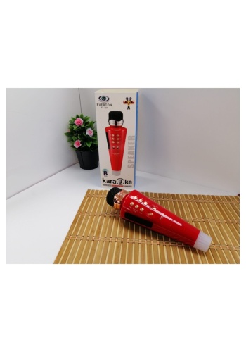Rt-704bt Usb/sd/fm/bluetooth Girişli Tws Karaoke Mikrofon