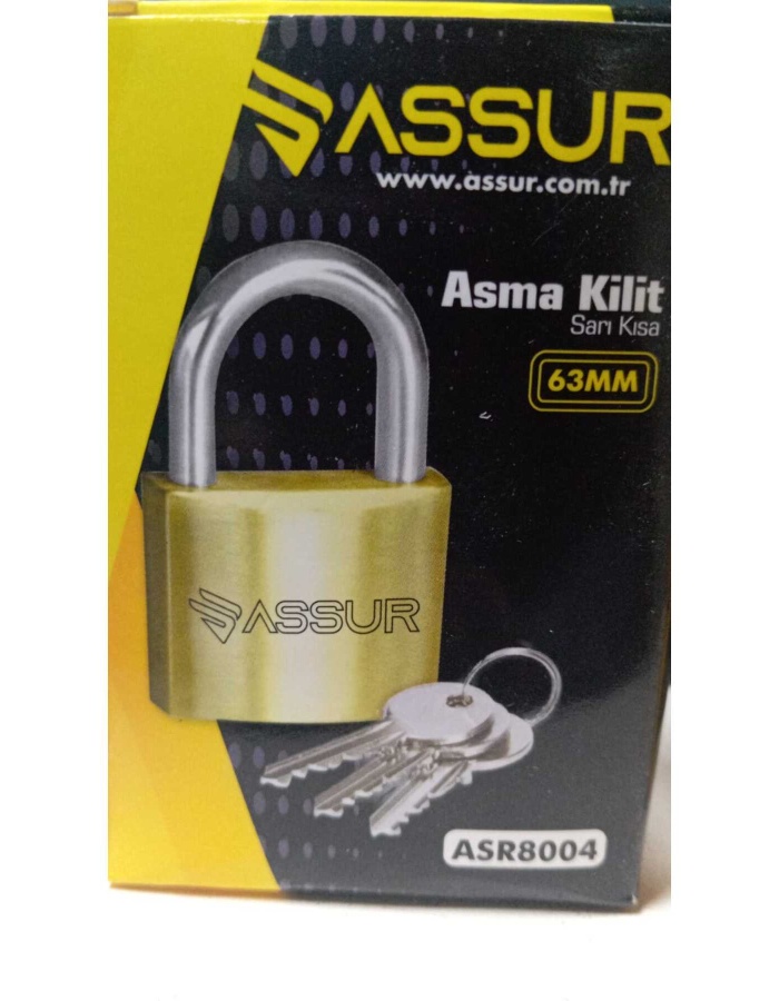 BOLTOPTAN ASSUR 63 mm asma kilit 6*30 180 ADET