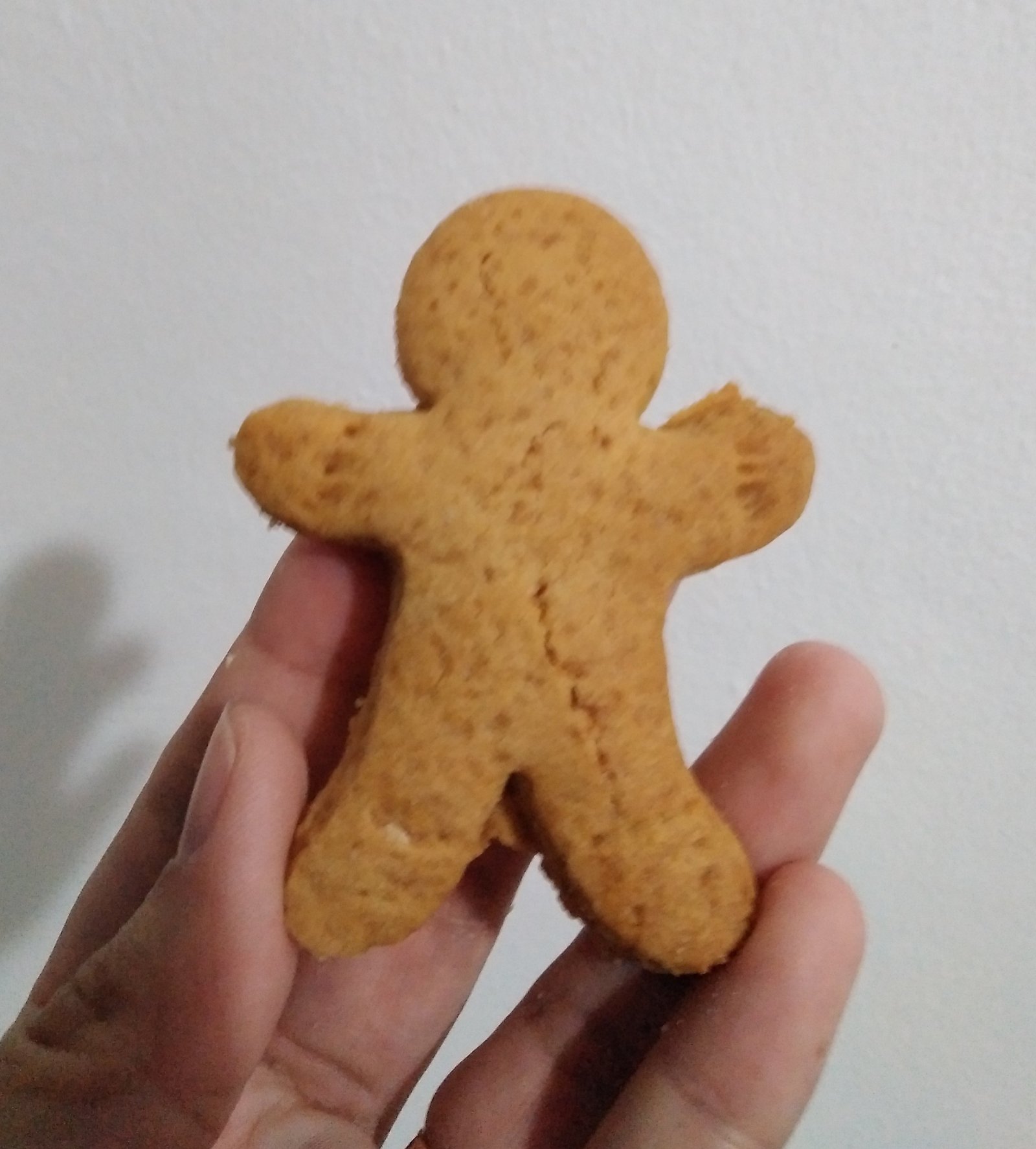 Zencefil kurabiye kesici T3200933