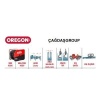 Oregon Top Zincir 73DX100R Yuvarlak 3/8 819 Diş