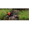 Echo CS3510ES Motorlu Testere 2 HP Orjinal Japon