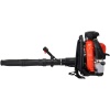 Orac EB975 Sırt  Tipi Benzinli Üfleme Makinası 5 HP