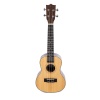 HAVANA HK-224RW ROSEWOOD CONCERT UKULELE SET (SOFTCASE-ASKI-METHOD-PENA HEDİYELİ)