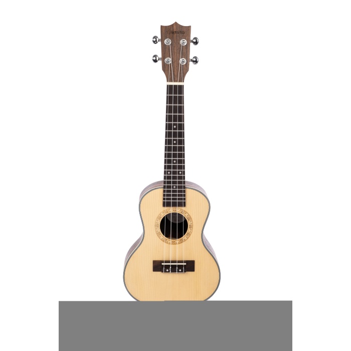 HAVANA HK-224BY ABANOZ CONCERT UKULELE
