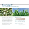 Omya Calciprill ® Mineral bazlı toprak Düzenleyici Tane Kireç 25 Kg
