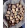 Marabel Patates Tohumu 1 Kg