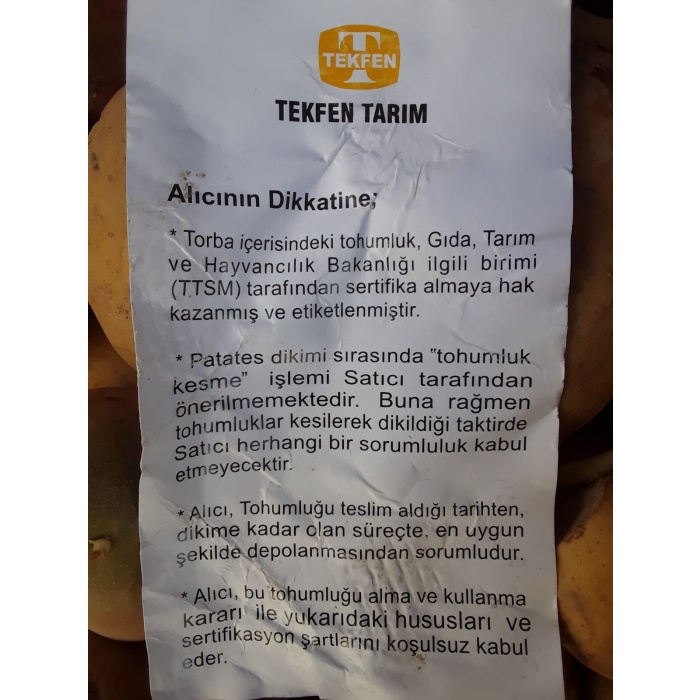 Marabel Patates Tohumu 1 Kg