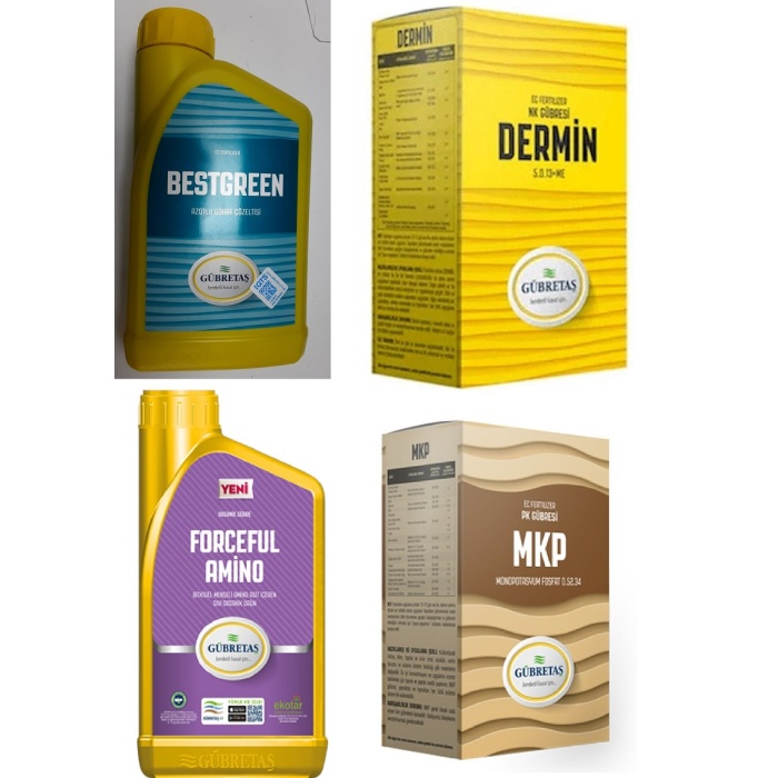 Çotanak Plus, Dermin, MKP, Bestgreen, Forceful Amino içermektedir.