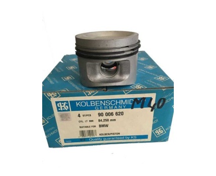 BMW E30 E34 1.8 M40 Piston Segman 0.25 (Takım) 90006620