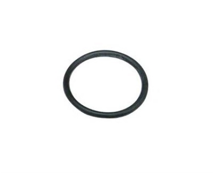 BMW N40 N42 N46 N62 Manyetik Valf Büyük Oringi 34x3.52mm 11367506178