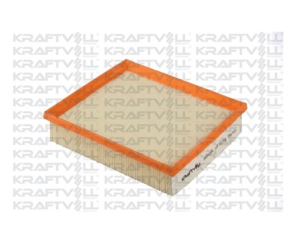 BMW B37 B47 N20 N47N Hava Filtresi 06010269