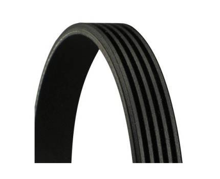 BMW E34 E36 E39 M51 Vantilatör Kayışı 5PK1815 5PK1815