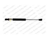 BMW X5 E53 Kaput Amortisörü 8008410