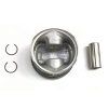 BMW E36 318i M40 Piston Segman Takımı Std 8770218STD