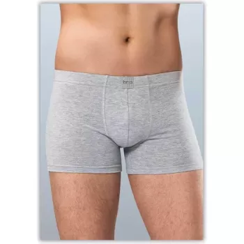 Anıt 1271 Boxer