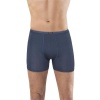 Anıt 1273 Bambu Boxer