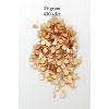Oya Abiye Bileklik Kolye Pleksi Metalik Plastik Pul Altın Renk 24 gram 450 adet - BNC557