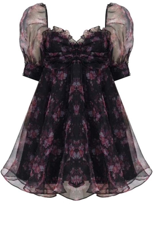 French Picnic Dress