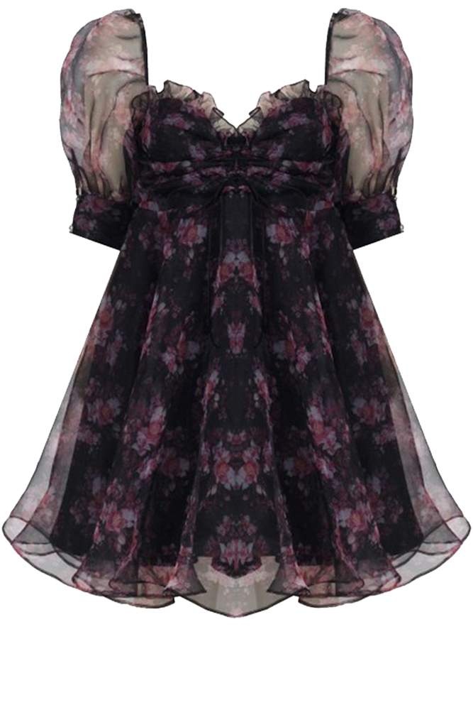 French Picnic Dress