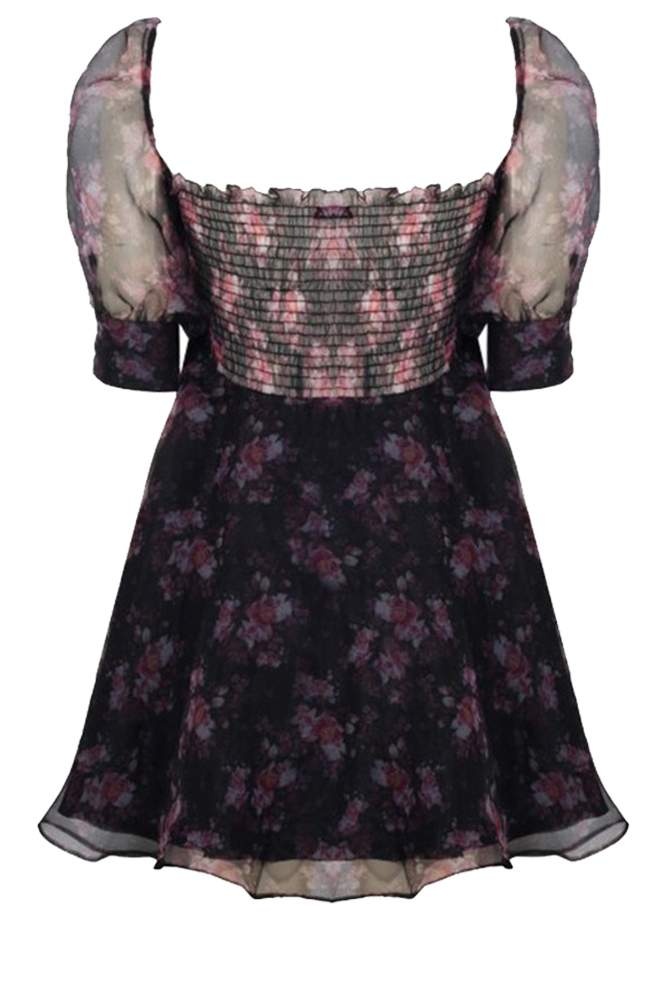 French Picnic Dress